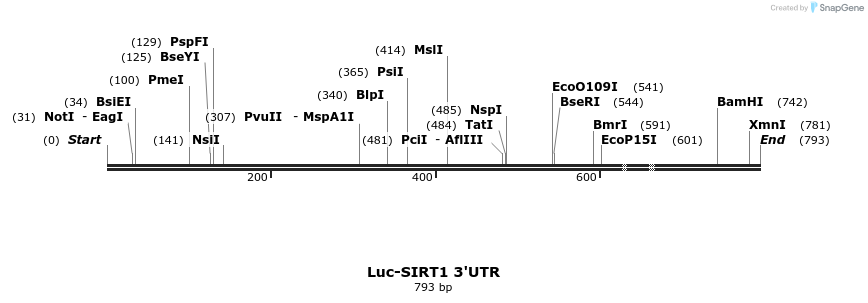 26231_map