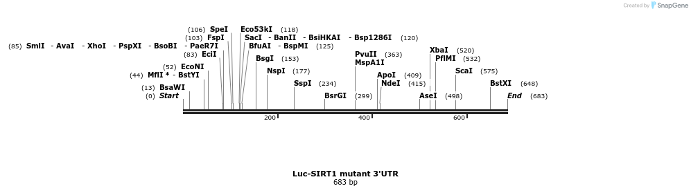 26232_map