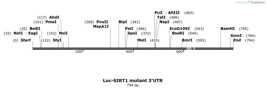 26233_map