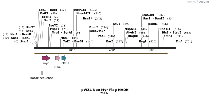 26237_map