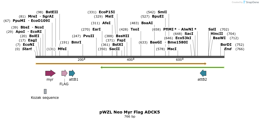 26238_map