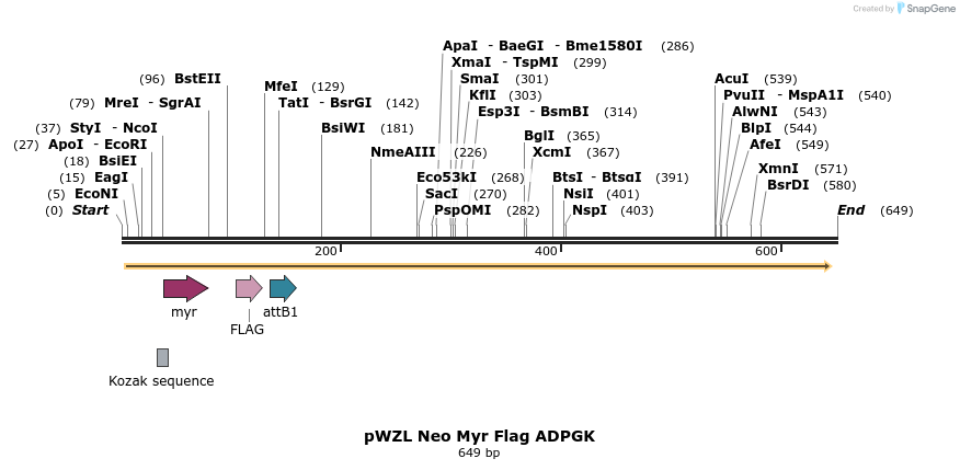 26239_map