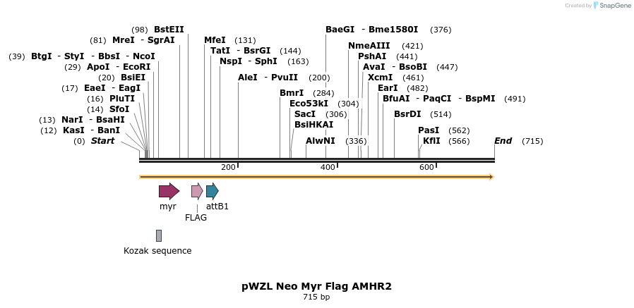 26246_map