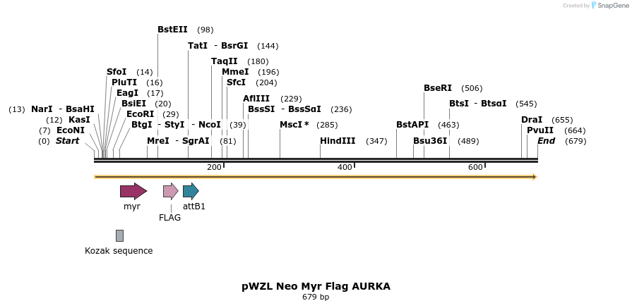 26249_map