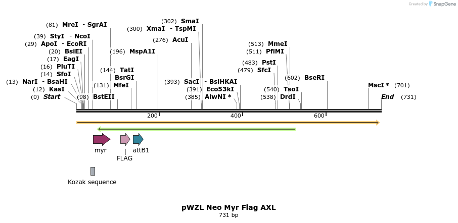 26250_map