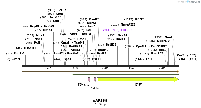 262513_map