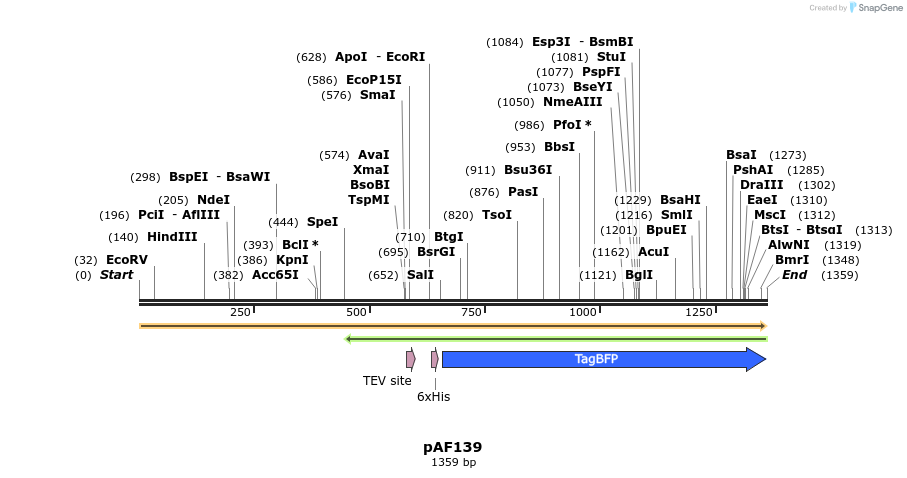262515_map