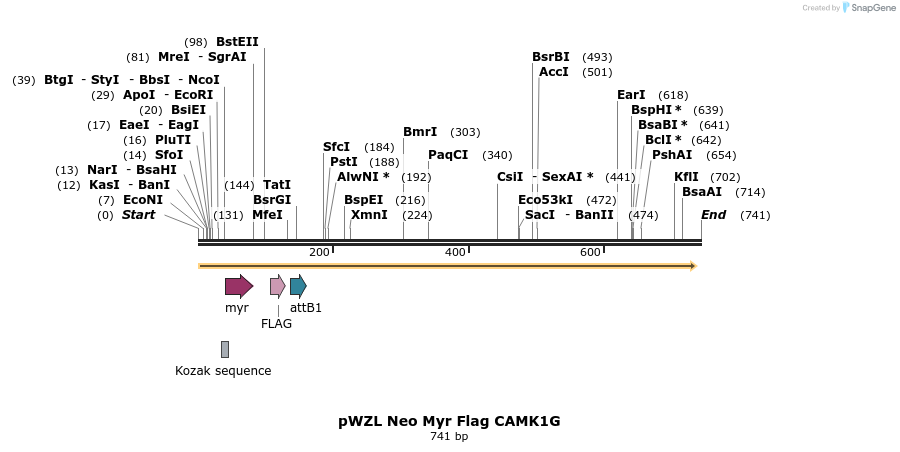 26259_map