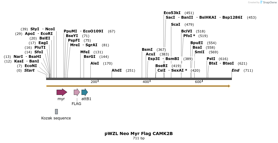 26260_map