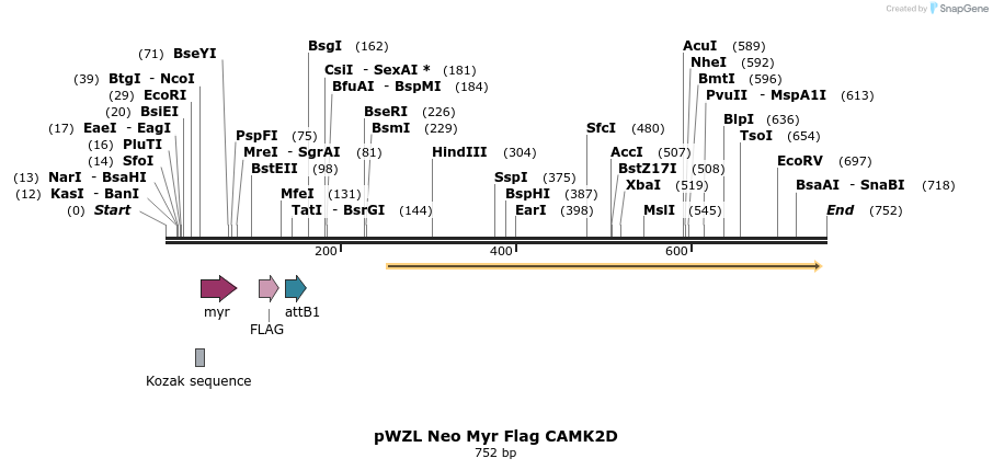 26261_map