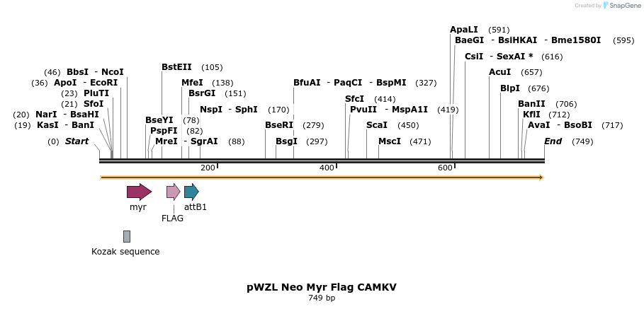 26266_map