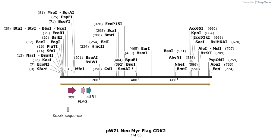 26270_map