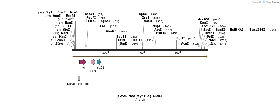 26271_map