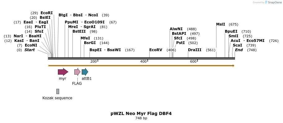 26273_map