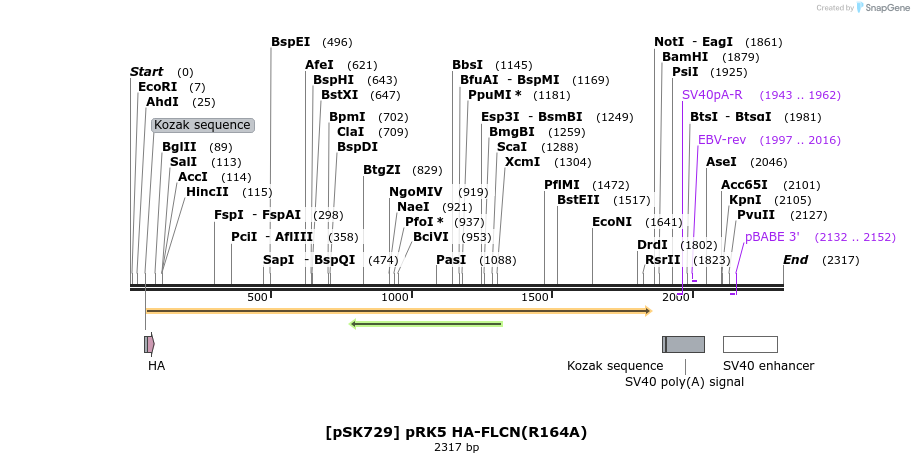 262730_map