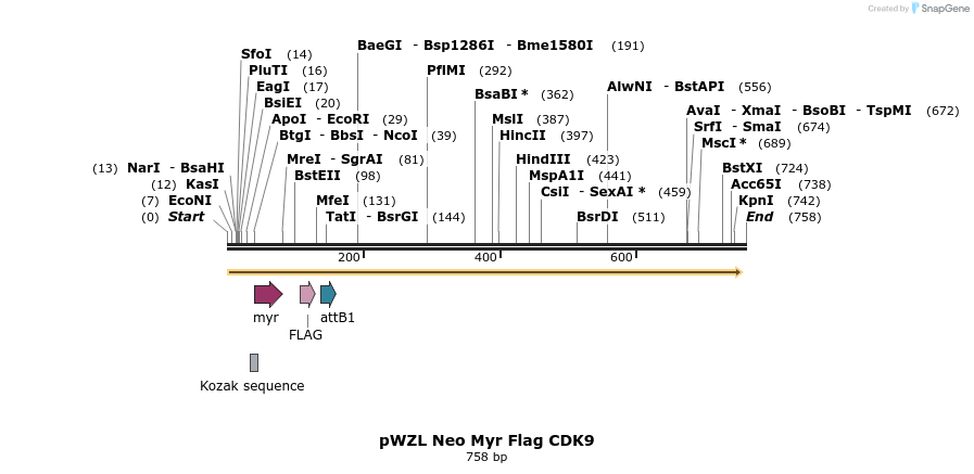 26276_map
