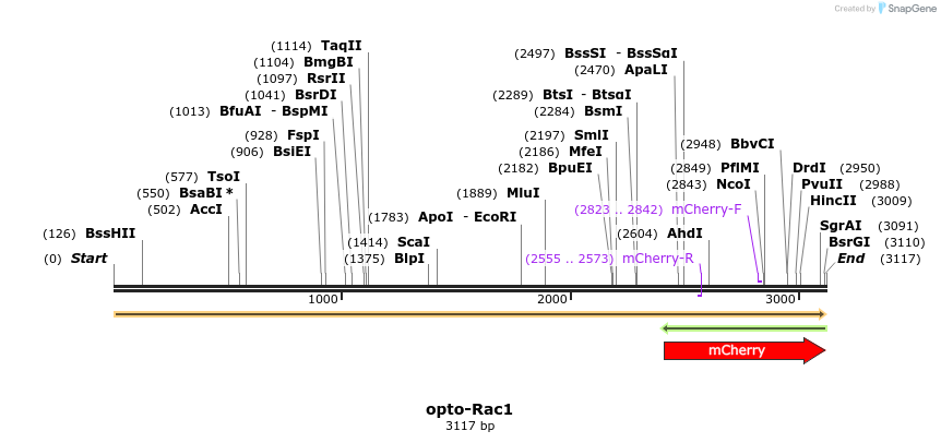 262765_map