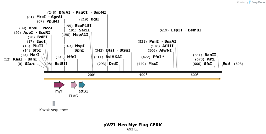 26277_map