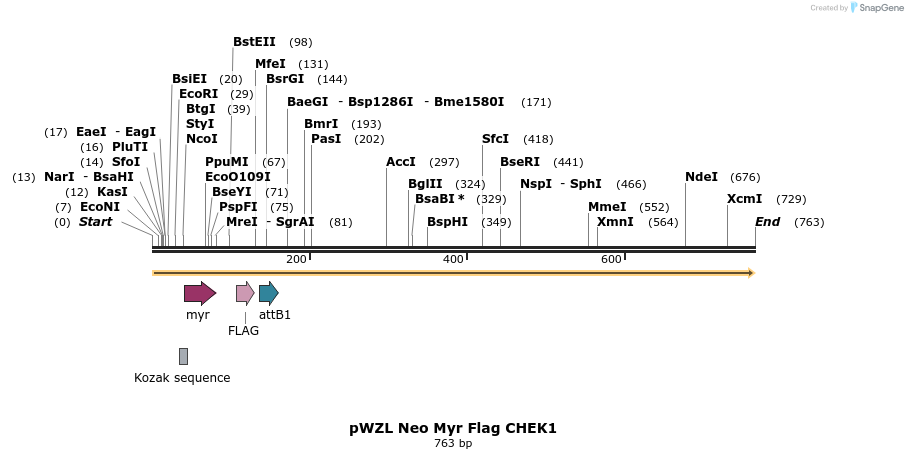 26278_map