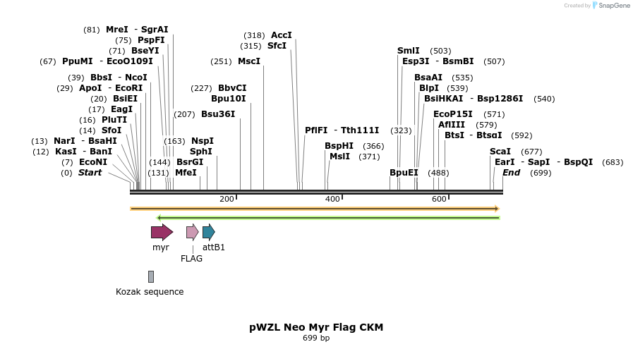 26281_map