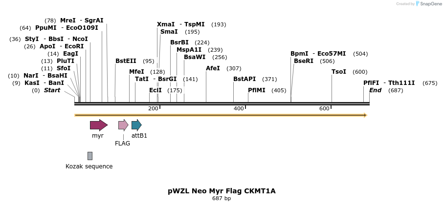 26282_map