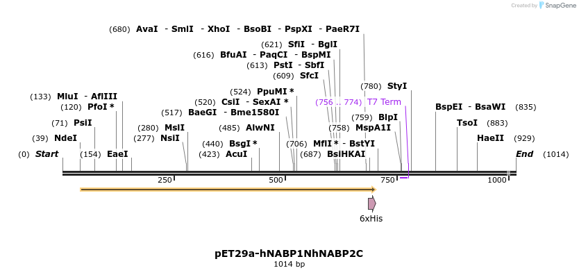 262901_map