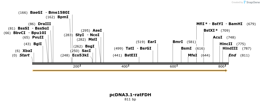 262903_map
