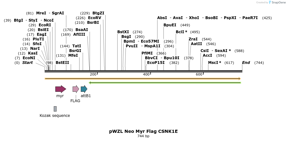 26291_map