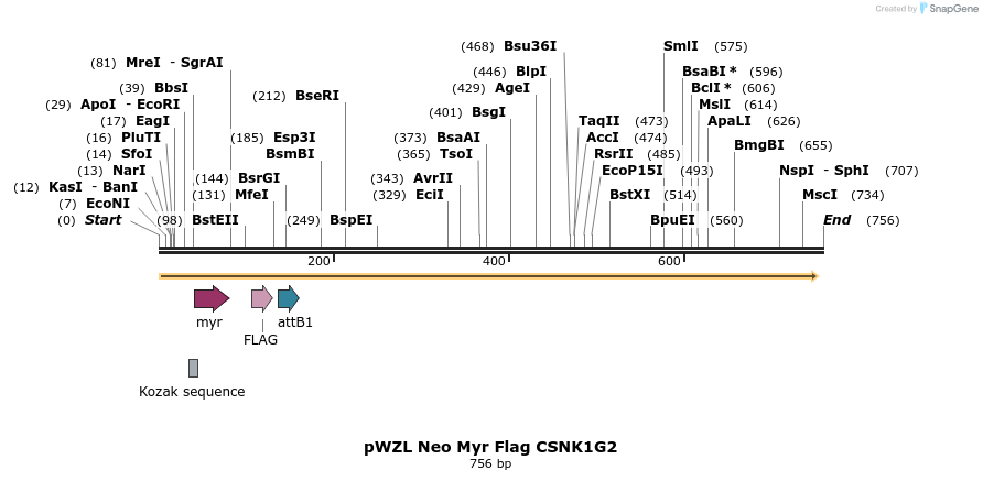 26293_map