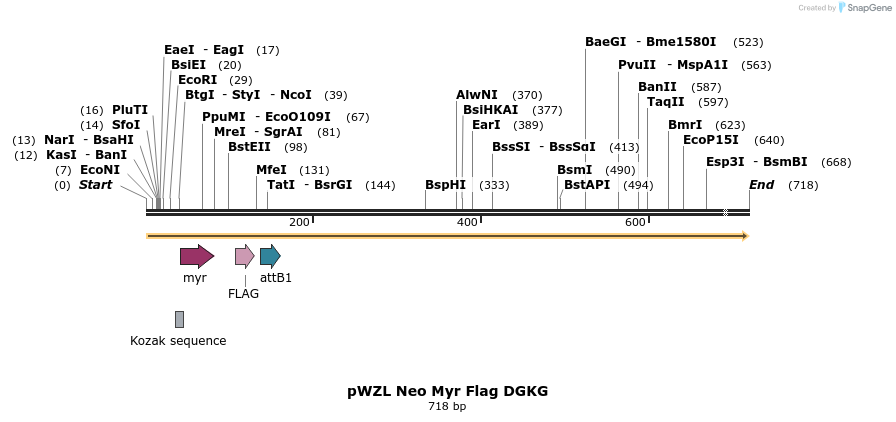 26296_map