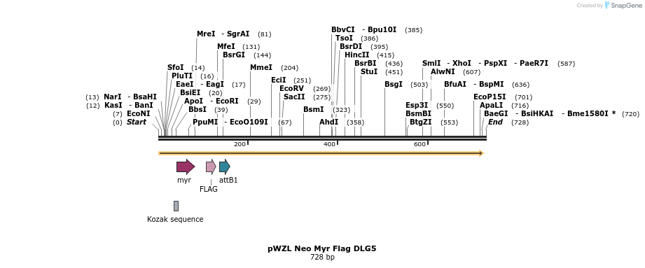 26298_map