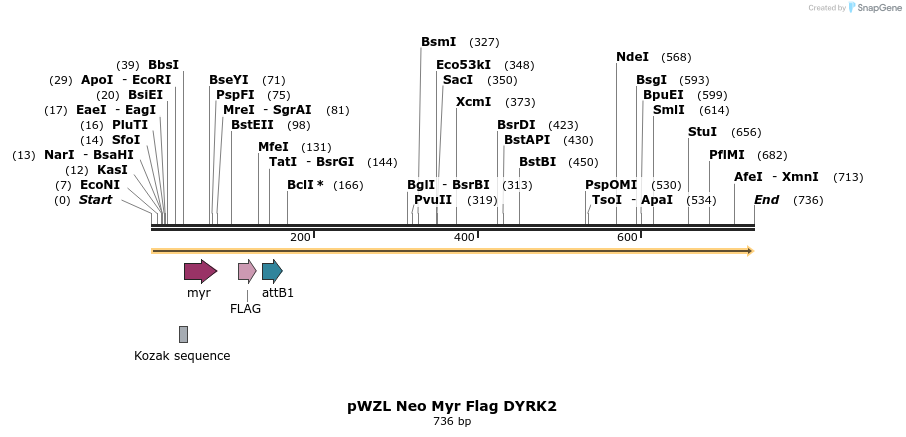 26301_map