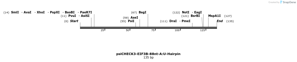 263021_map