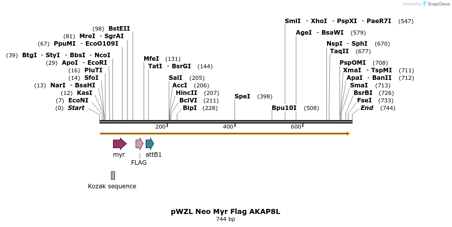 26303_map