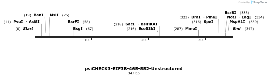 263031_map