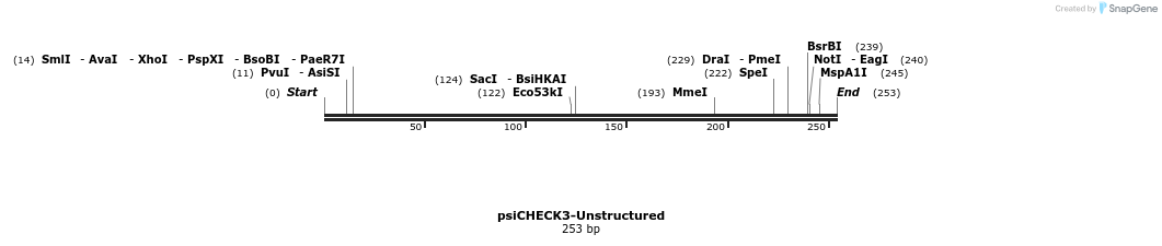 263037_map