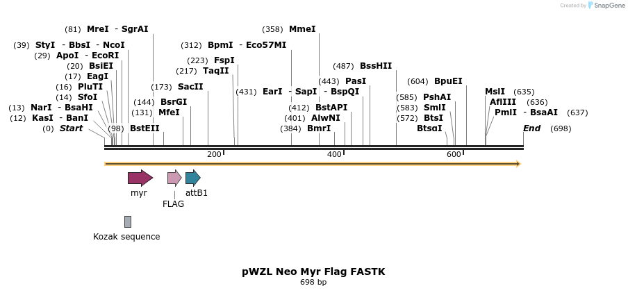 26309_map