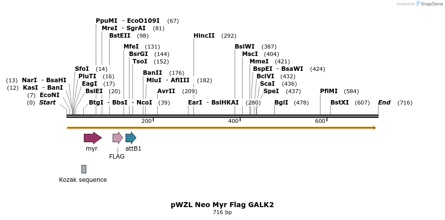26314_map