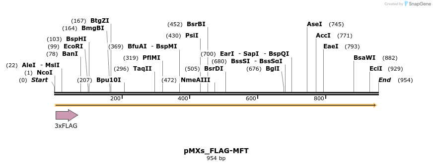263167_map