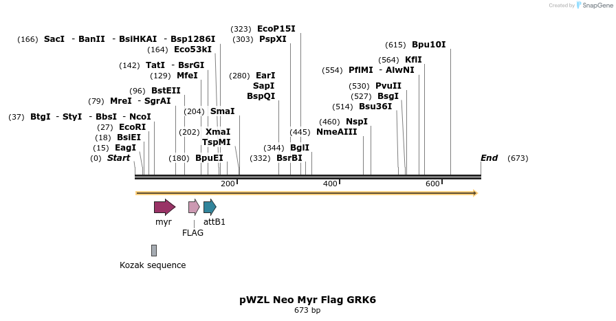 26319_map