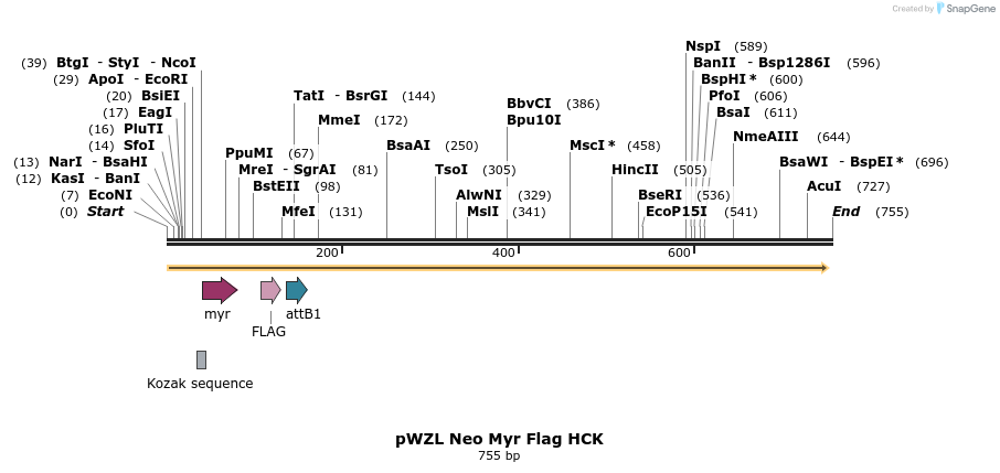26320_map