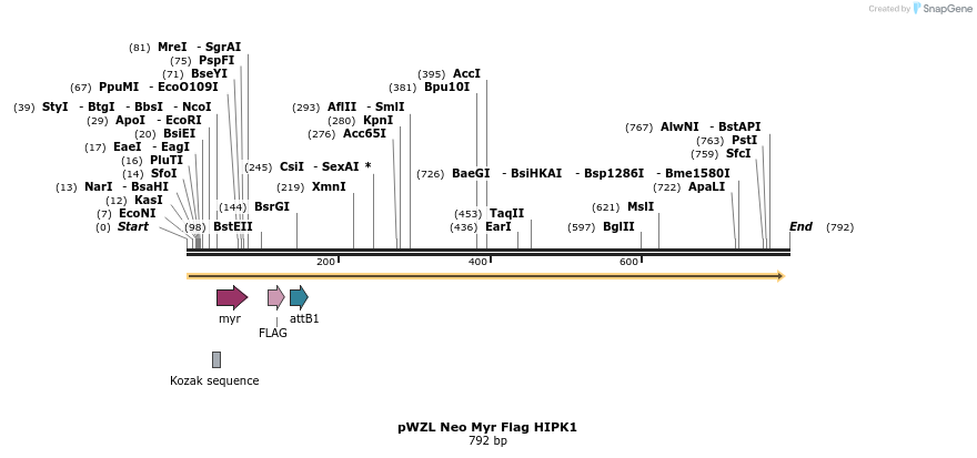 26321_map