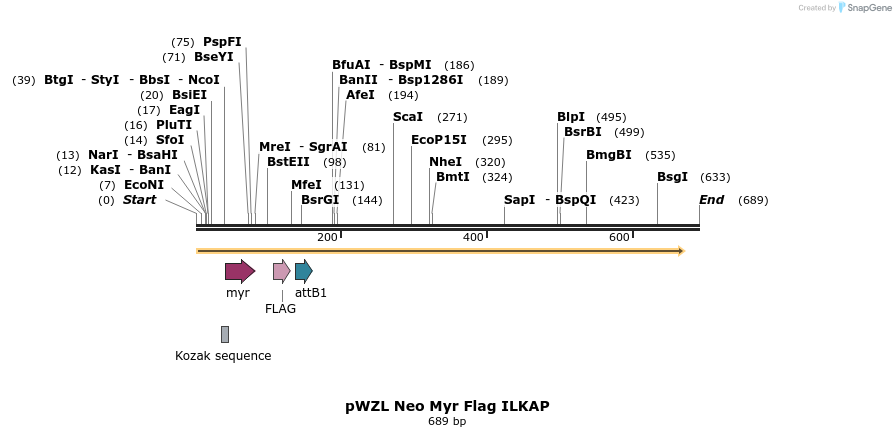 26322_map