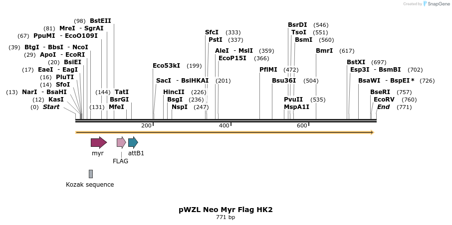26324_map