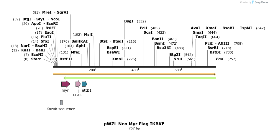 26328_map