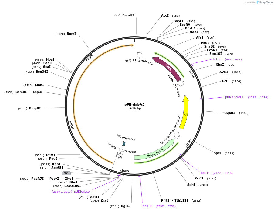 263330_map
