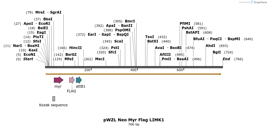 26337_map