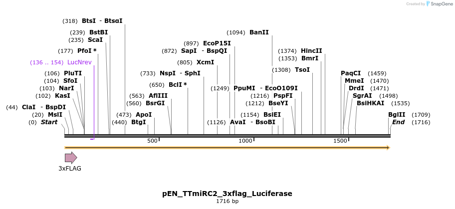 263382_map