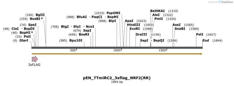 263385_map