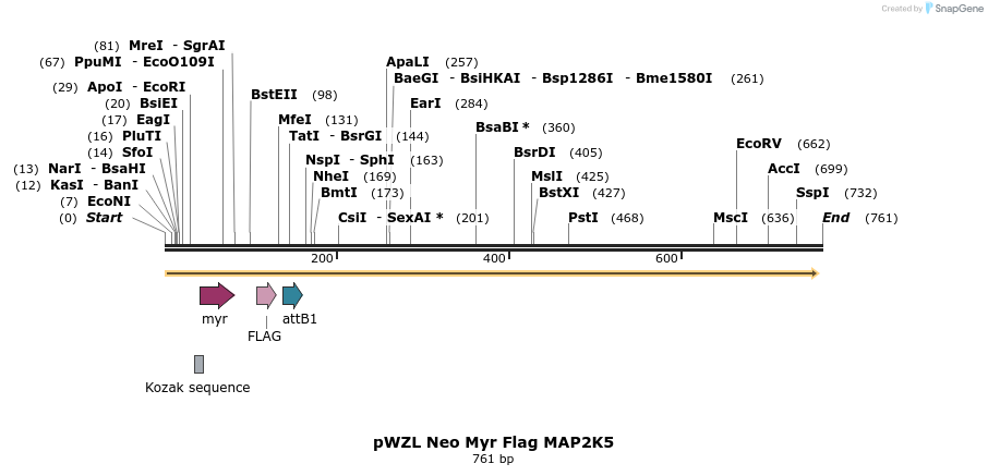 26339_map
